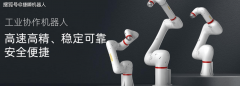 硕打破国际壁垒的多机连线式机械臂